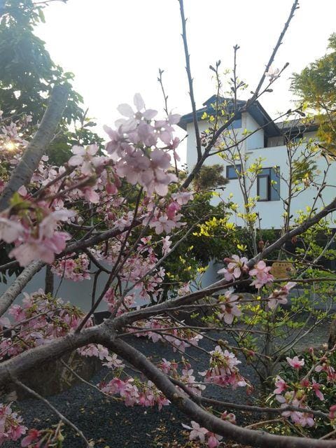 Longhai Juxingde B&B Hotel in Fujian