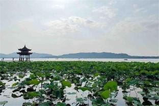 West Lake Begonia Art Homestay Hotel in Hangzhou