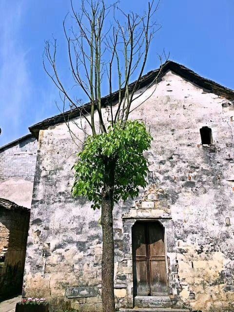 Heyi Manoe Hotel in Hangzhou