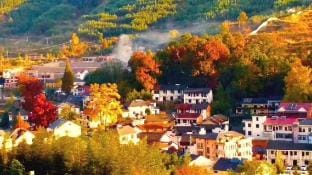 Lin'an Guide Mountain Wangfenglou Homestay Hotel in Hangzhou