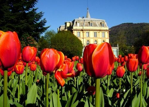 Casa Patrizia Hotel in Canton of Ticino