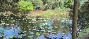 Nanjing Leji Mountain Forest Homestay Hotel in Nanjing