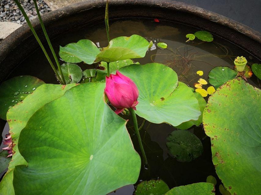 Yishewei Holiday Villa Hotel in Suzhou