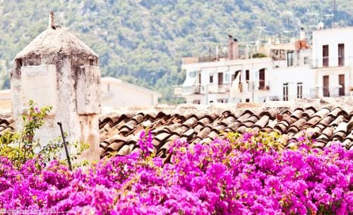 Bed and breakfast Coppadicuocobb Hotel in Mattinata