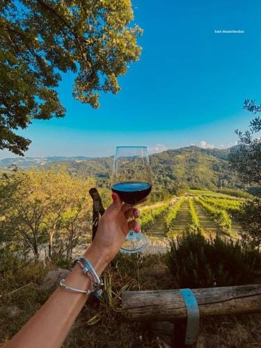 Bed & Breakfast Montesterlino Hotel in Emilia-Romagna