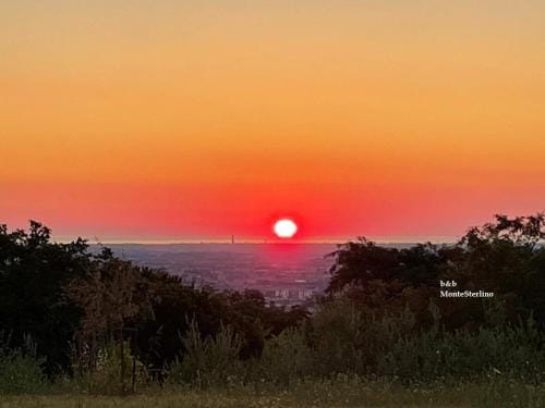 Bed & Breakfast Montesterlino Hotel in Emilia-Romagna