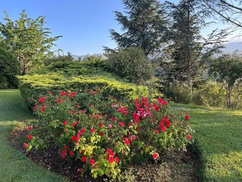 Villa Bellavista Luxury Suites Hotel in Abruzzo