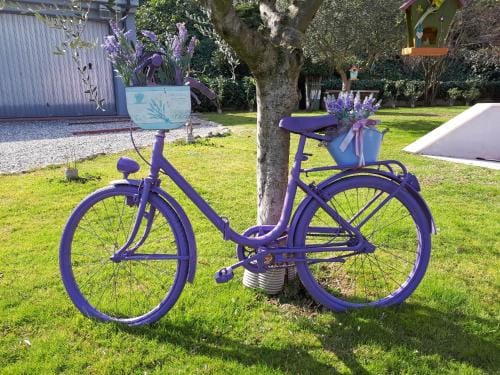 B&B Milu' Hotel in Lake Garda