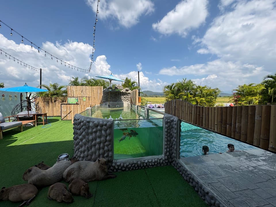 Capybara Zen Resort & Spa Resort in Thailand
