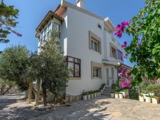 Morisi Pansiyon Lodge in İzmir Province