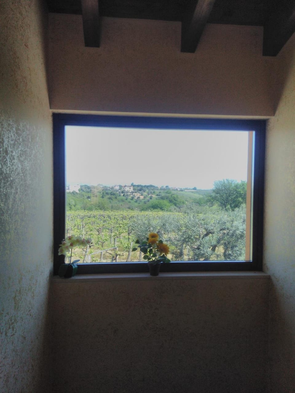 La casetta Hotel in Ortona