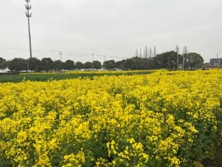 Guixin · Homestay Hotel in Shanghai