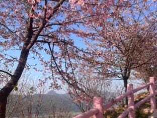 Xinglong Inn Hotel in Zhejiang