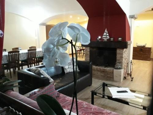 La Camelia B&B Hotel in Lazio