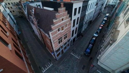 Dolfijn Hostel Hostel in Antwerp