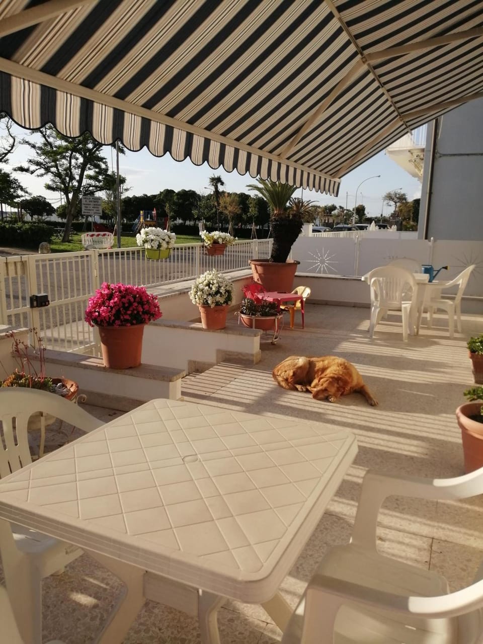 B&B GALLETTO Hotel in Porto San Giorgio