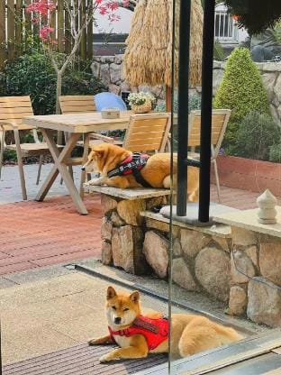 Xiangwang Homestay (West Lake Lingyin Temple Branch) Hotel in Hangzhou
