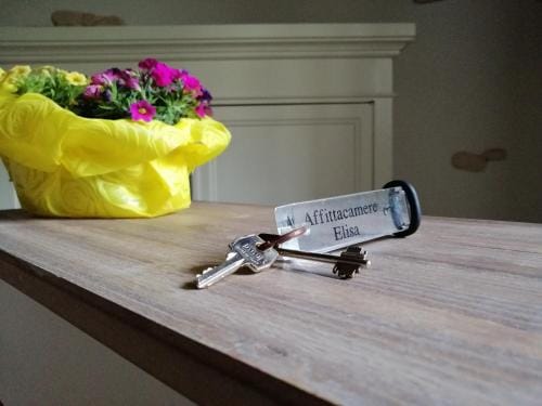 Elisa affittacamere Hotel in Foligno