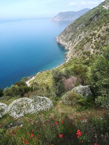 La Ginestra Hotel in Corniglia