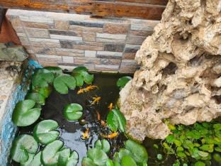 Jiujin No.1 Courtyard Homestay Hotel in Jiangsu