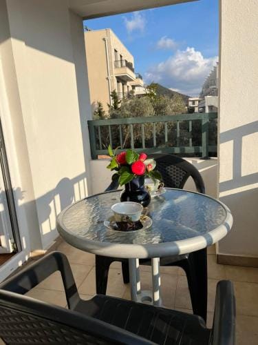 Apartments and Room MV Hotel in Budva Municipality