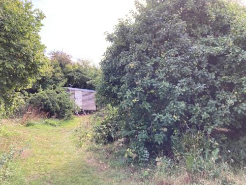 The Orchard Hut Inn in England