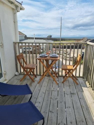 Sandy Paws Hotel in England