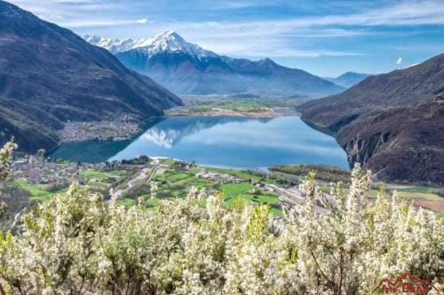 Ca Elsa B&B Hotel in Canton of Grisons