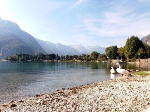 Ca Elsa B&B Hotel in Canton of Grisons
