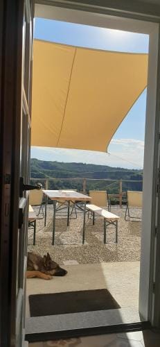 B&B Mermaid n 16/a Hotel in Liguria