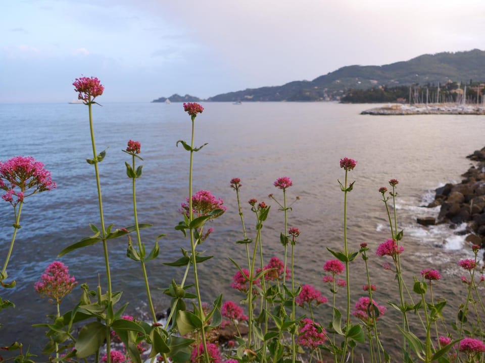 Giramondo Hotel in Rapallo
