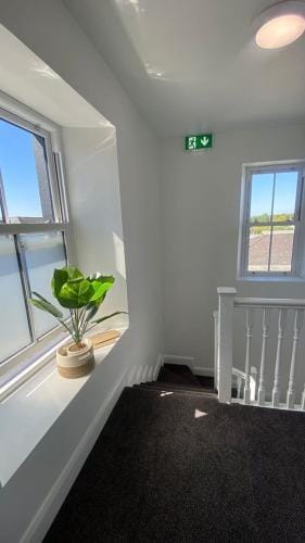 Budget Rooms Hotel in Westmeath, Co. Westmeath, Ireland