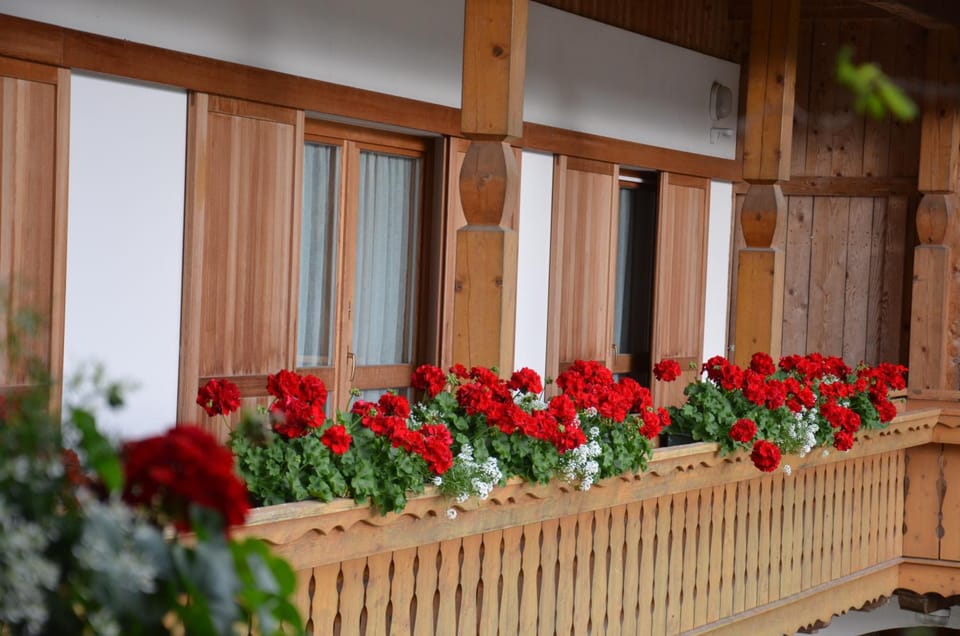 Falkenau Hotel in Trentino-South Tyrol