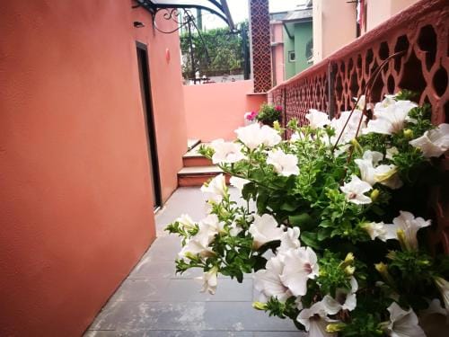 Pink House Garden Hotel in Monterosso al Mare