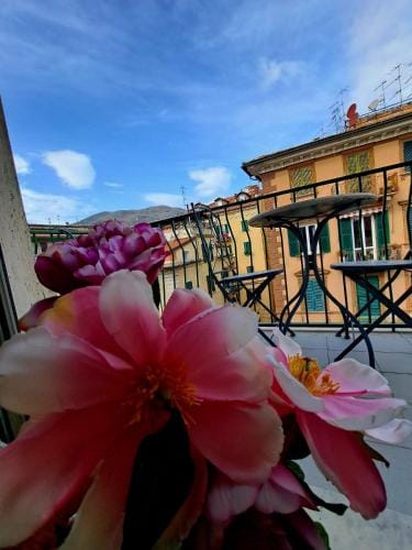 Affittacamere ELVI Hotel in La Spezia