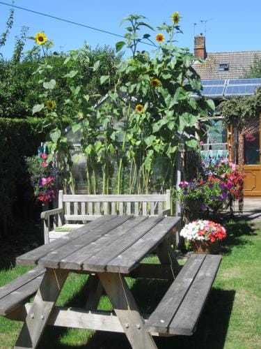 Perfect for Petersfield B&B Hotel in Chichester District