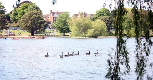 Perfect for Petersfield B&B Hotel in Chichester District
