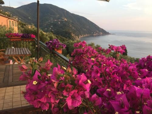 B&B Case Rosse Hotel in Camogli