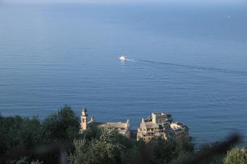 B&B Case Rosse Hotel in Camogli