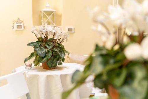 NapulitanDream Hotel in Naples