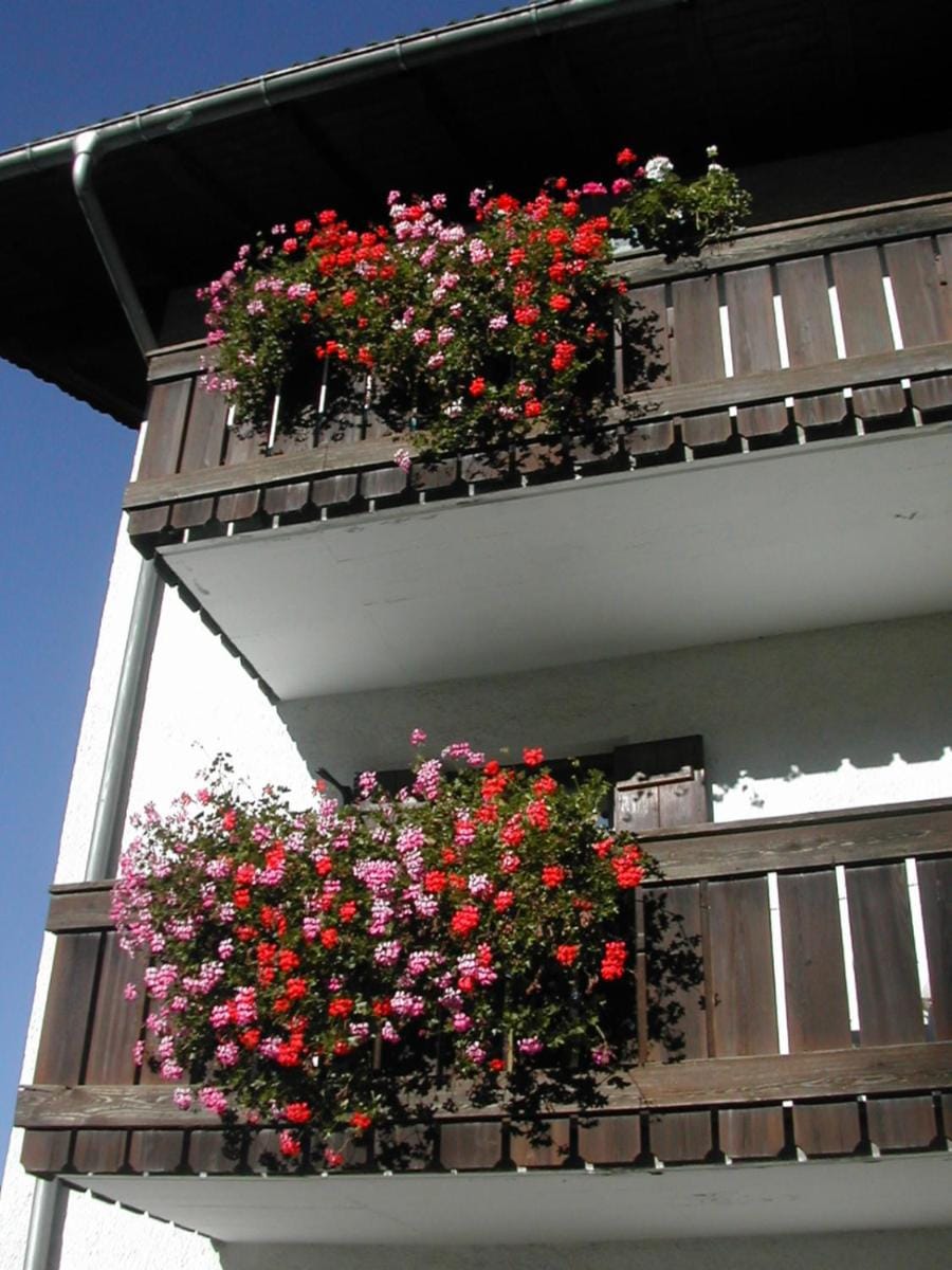 SAN PIETRO DOLOMITI Small Budget Hotel Hotel in Trentino-South Tyrol