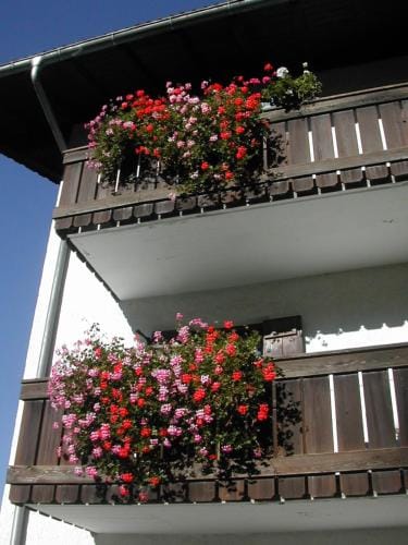 SAN PIETRO DOLOMITI Small Budget Hotel Hotel in Trentino-South Tyrol