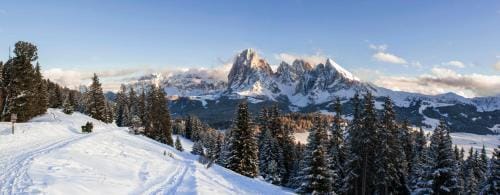 SAN PIETRO DOLOMITI Small Budget Hotel Hotel in Trentino-South Tyrol