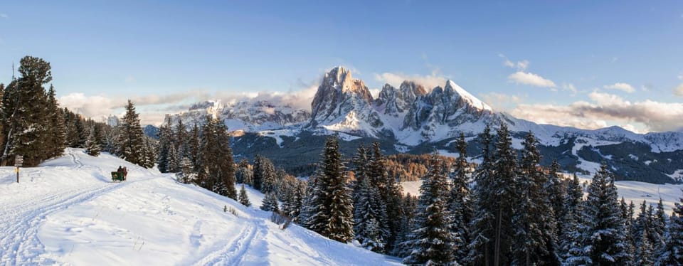 SAN PIETRO DOLOMITI Small Budget Hotel Hotel in Trentino-South Tyrol