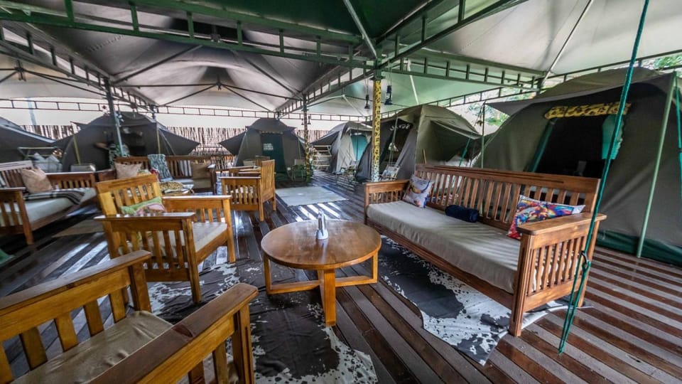 The Tree Top Village Urban Glamping Hostel in KwaZulu-Natal