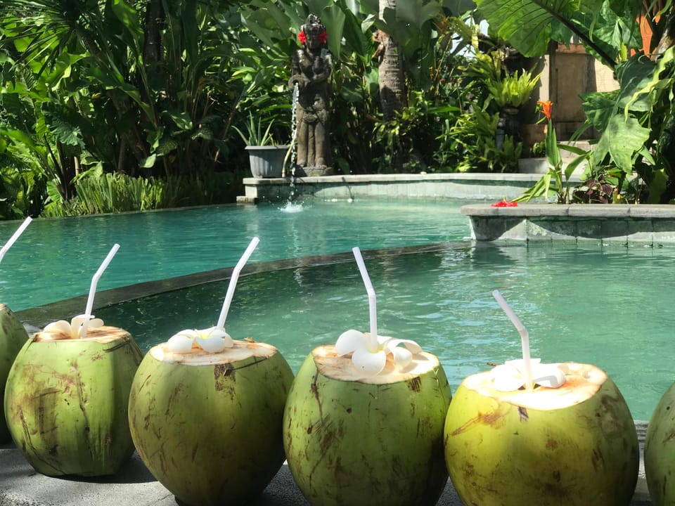 White House Bed and Breakfast in Ubud