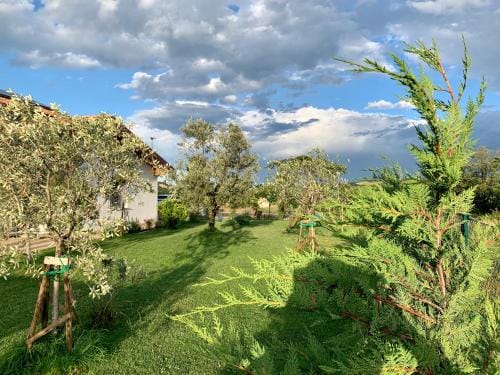 B&B La Casa Del Sole Hotel in Emilia-Romagna