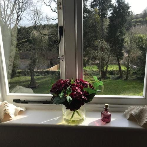 Coombe Lodge Farm House Hotel in Sedgemoor
