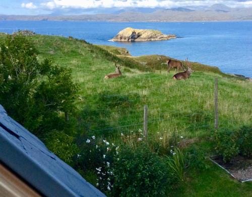 Tor Druim Hotel in Scotland