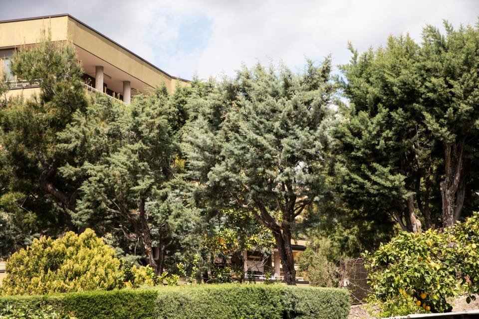 L' albero di giada Hotel in Caserta